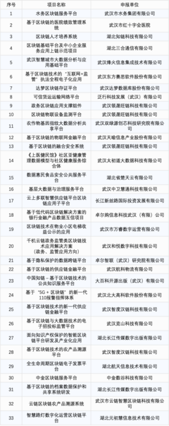 武汉发布首批271个数字经济应用场景
